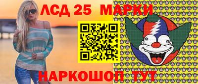 крисы Будённовск