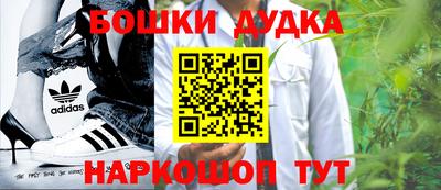 крисы Будённовск