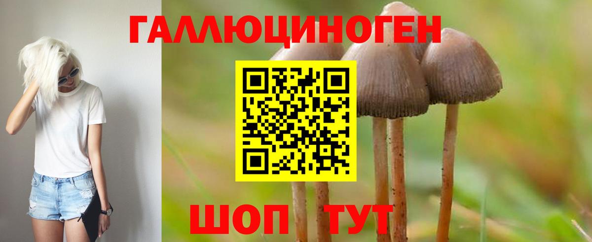 Партизанск  Галлюциногенные грибы прущие грибы  Галлюциногенные грибы GOLDEN TEACHER  закладки  Вход с VPN 